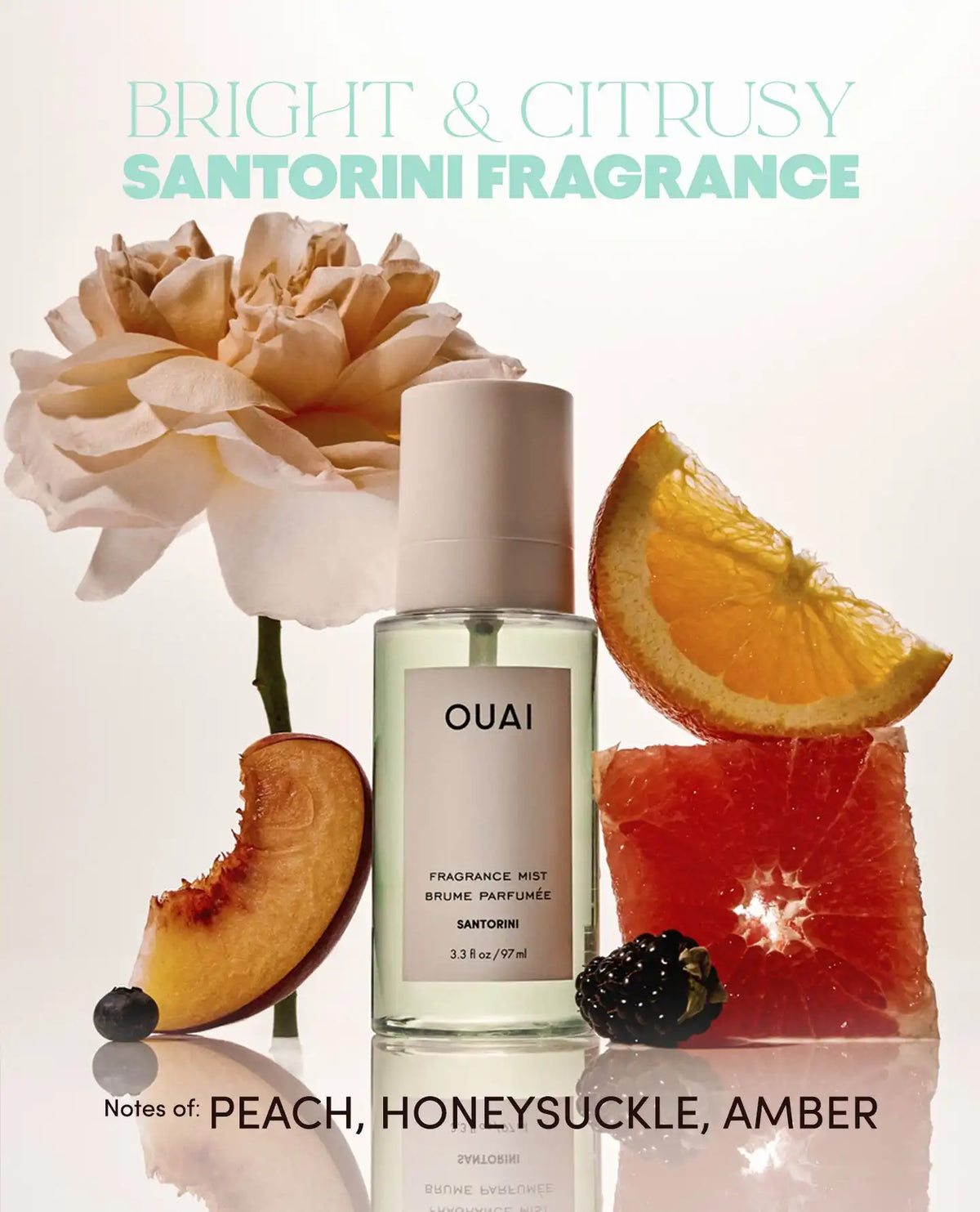 OUAI-CATION Air Fresheners - 4 Pack