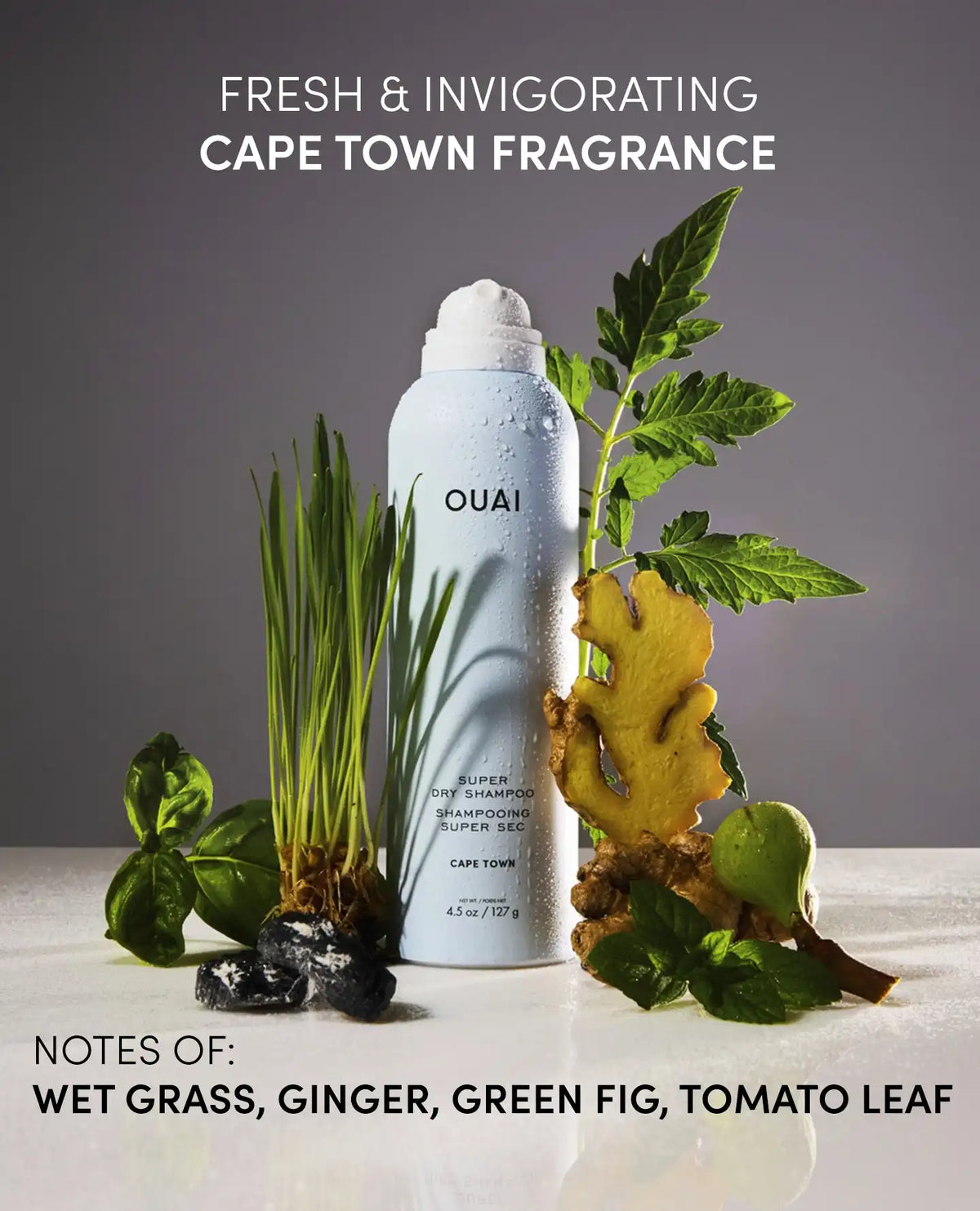 Super Dry Shampoo Cape Town - Travel