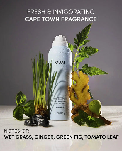 Super Dry Shampoo Cape Town - Travel